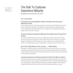 Path Customer Experience Maturity