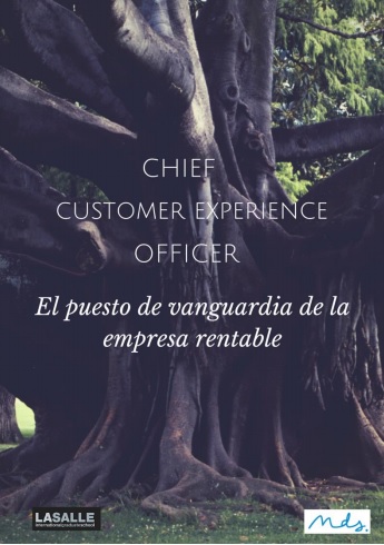 Informe Chief Customer Experience Officer | LaSalle y MdS