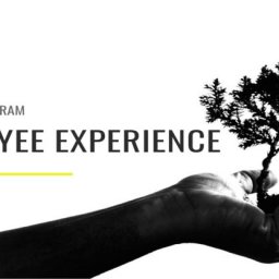 Employee Experience Executive Program