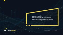 14. EY Voice Analytics Platform FY24_page-0001